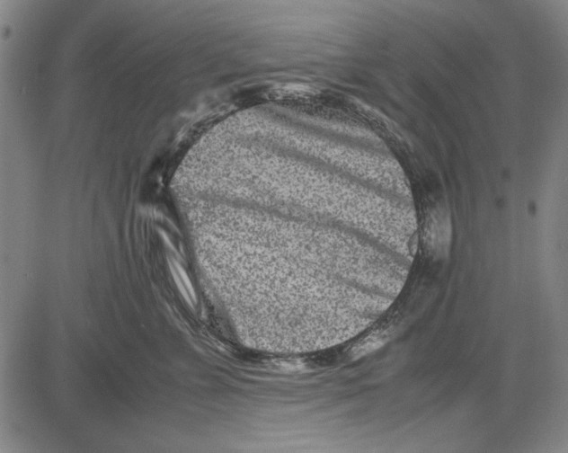 X0000081430715200702021652