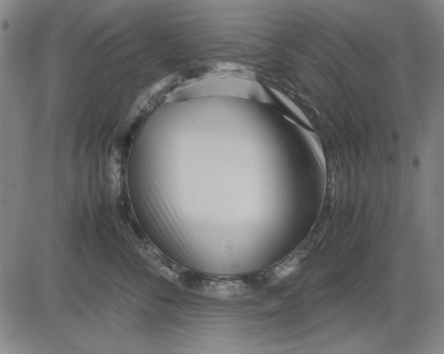 X0000081430716200702021652