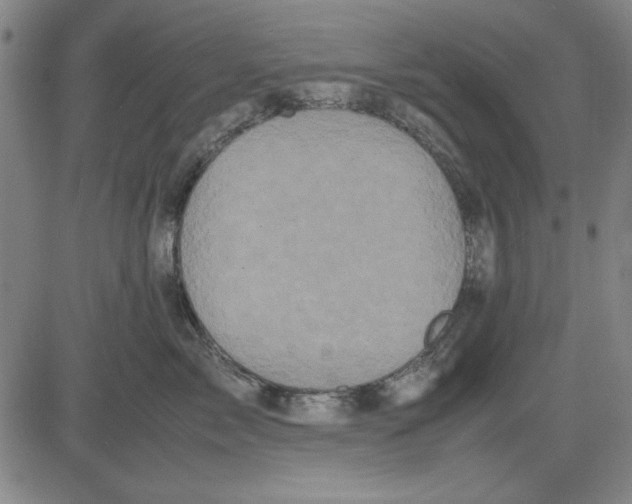 X0000081430717200702021652