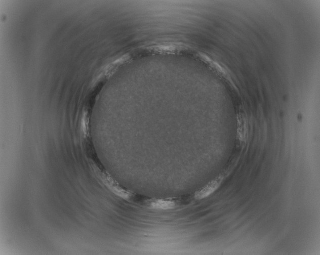 X0000081430718200702021652