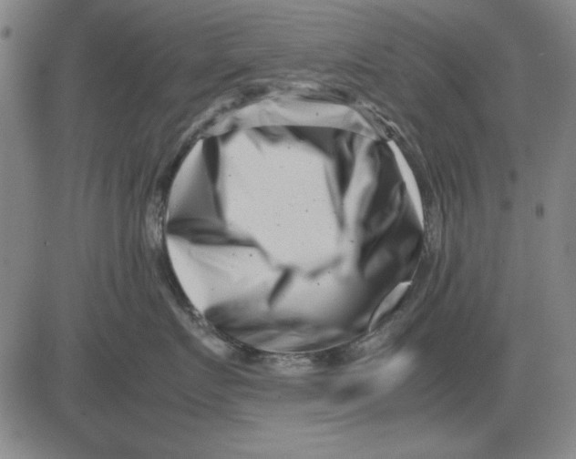 X0000081430719200702021652