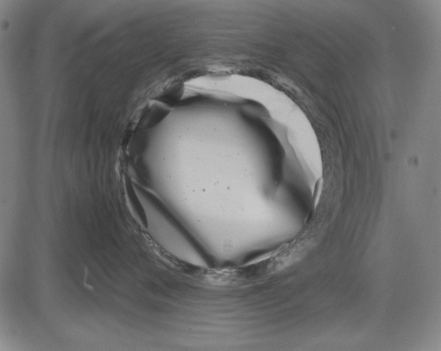 X0000081430720200702021652