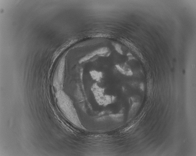 X0000081430721200702021651