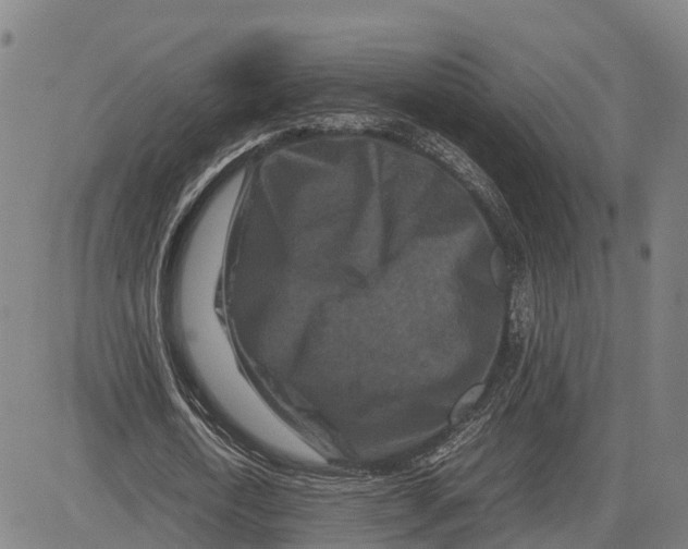 X0000081430722200702021651