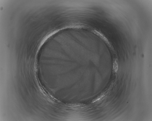 X0000081430724200702021651