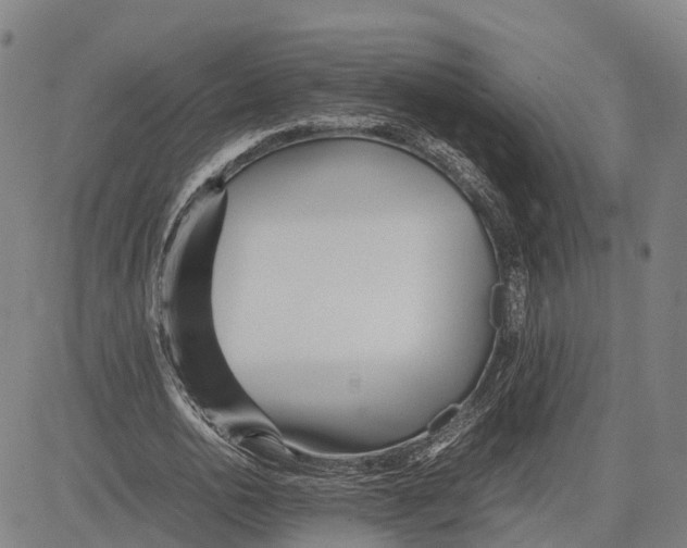 X0000081430726200702021651