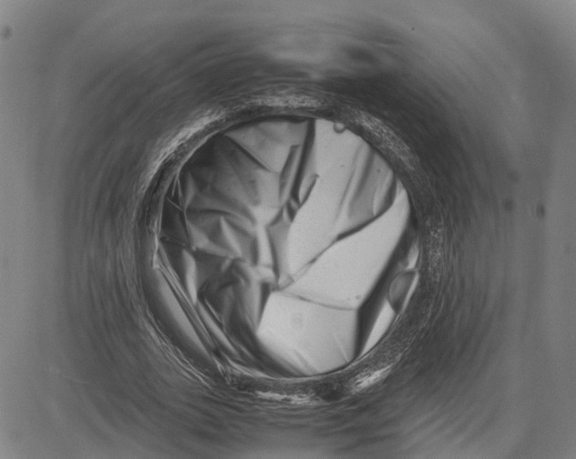 X0000081430727200702021652