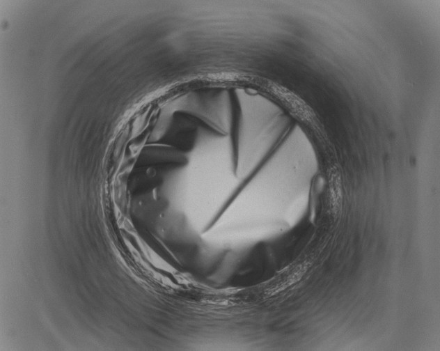 X0000081430728200702021652