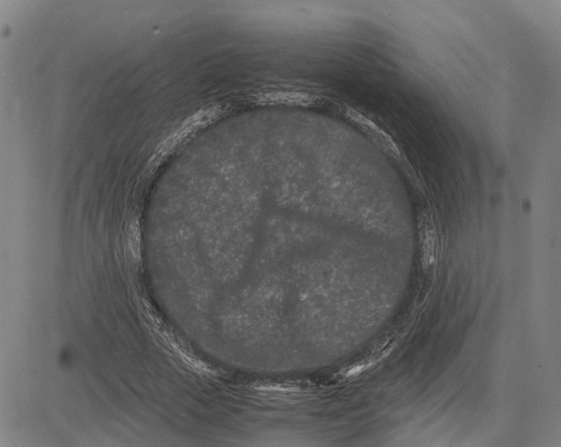 X0000081430729200702021652