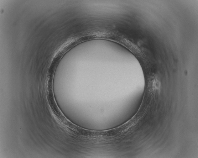 X0000081430730200702021652