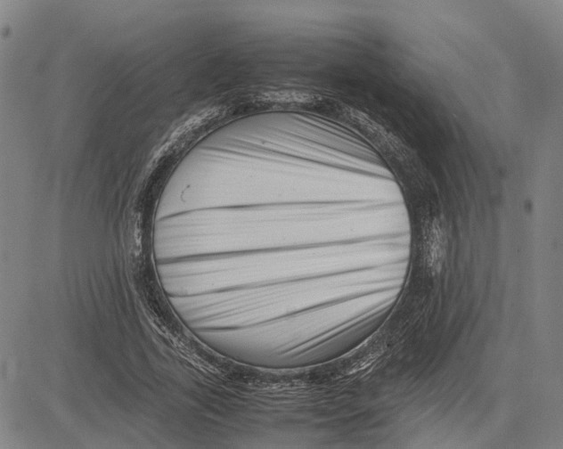 X0000081430731200702021652