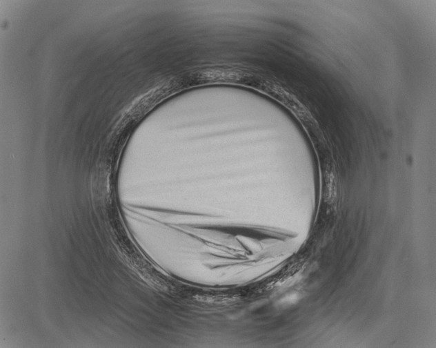 X0000081430733200702021652