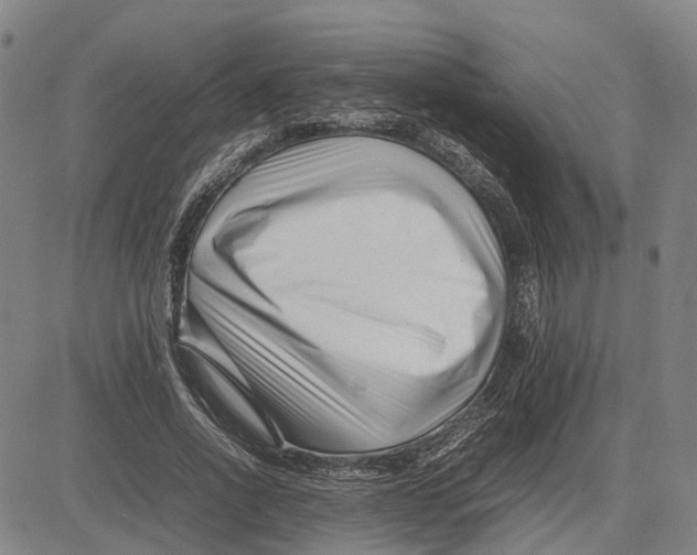 X0000081430734200702021652