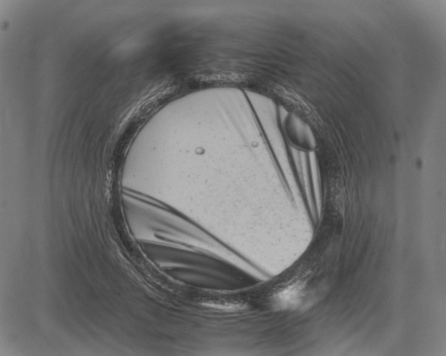 X0000081430735200702021652