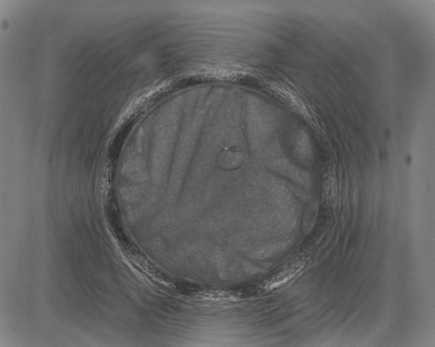 X0000081430736200702021652