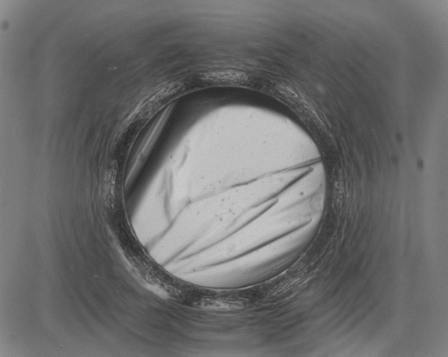 X0000081430739200702021652