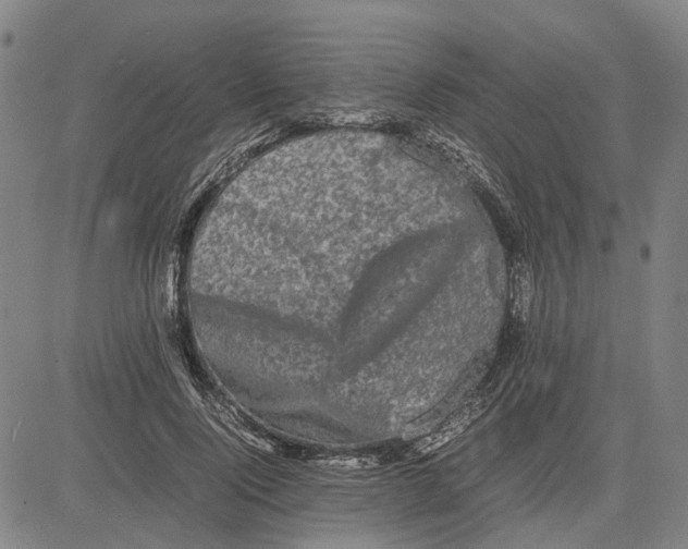 X0000081430740200702021652