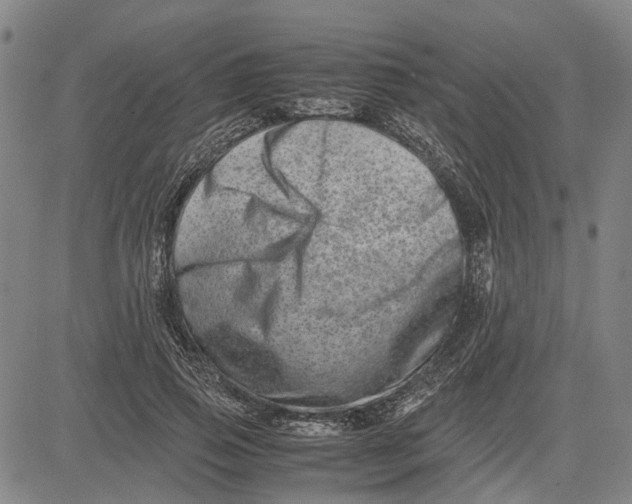 X0000081430741200702021652