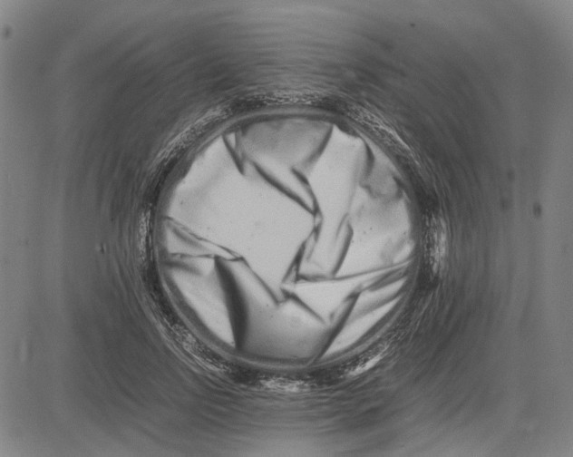 X0000081430742200702021652