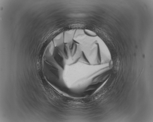 X0000081430743200702021652