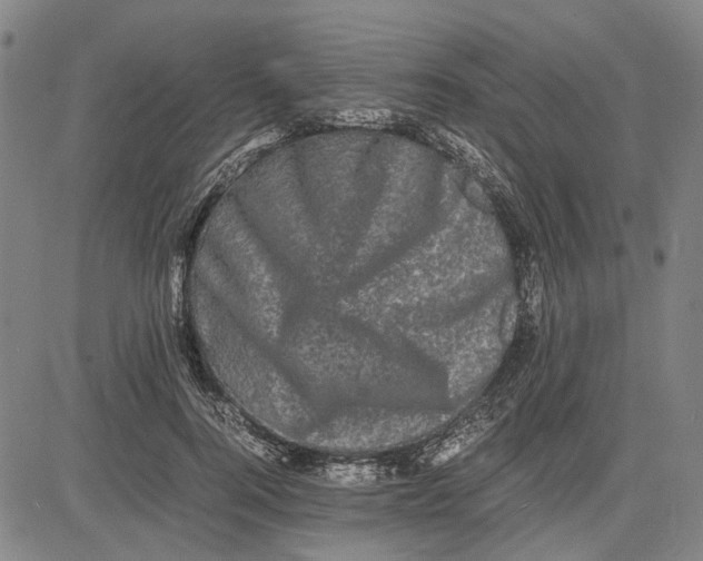 X0000081430744200702021652