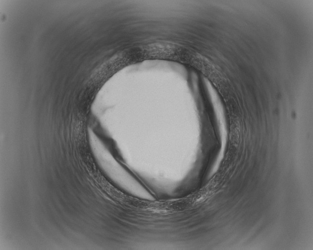 X0000081430745200702021652