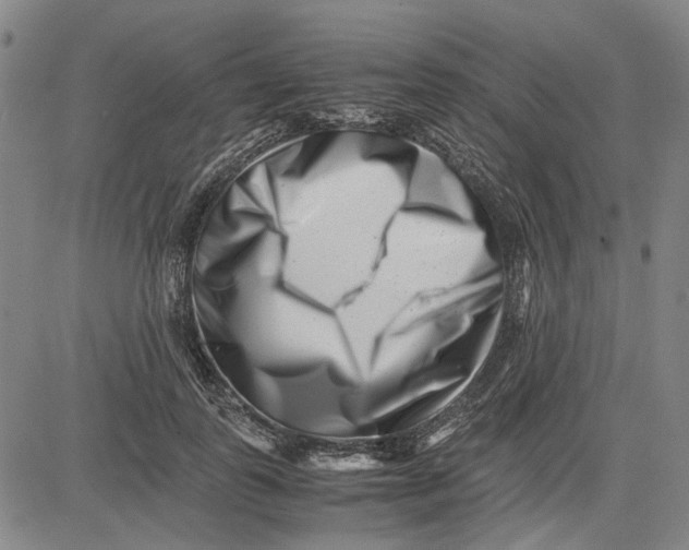 X0000081430747200702021652