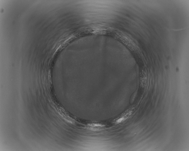 X0000081430748200702021652