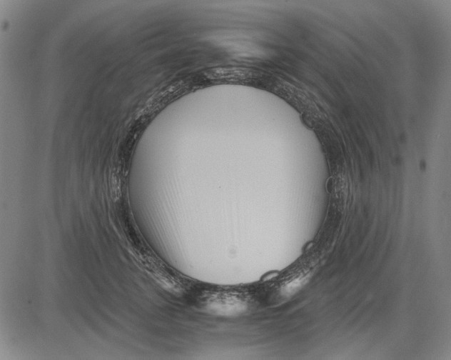 X0000081430751200702021652