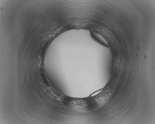 X0000081430752200702021652