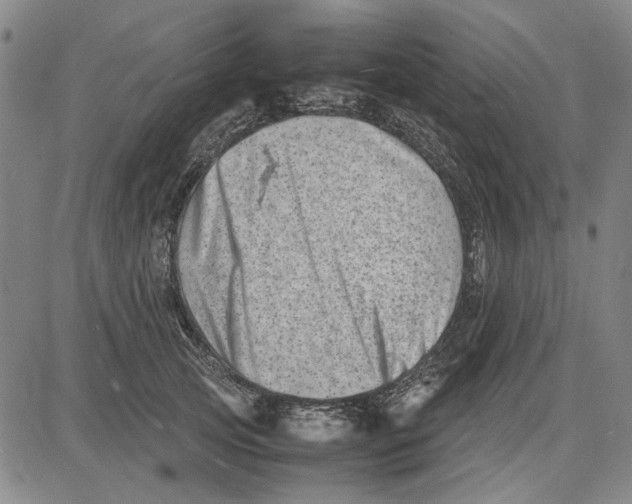 X0000081430753200702021652