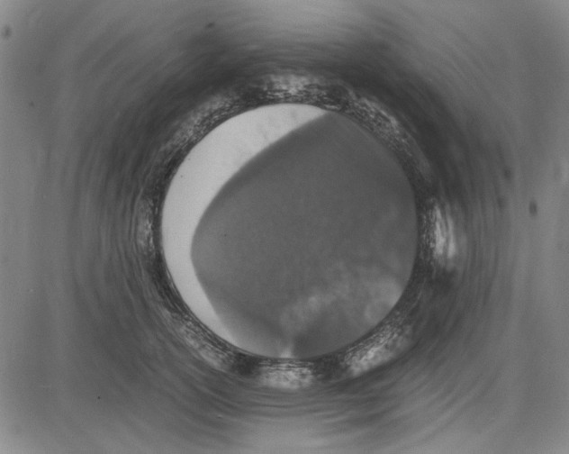 X0000081430754200702021652