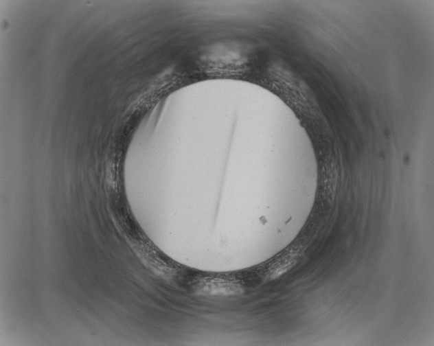 X0000081430755200702021652