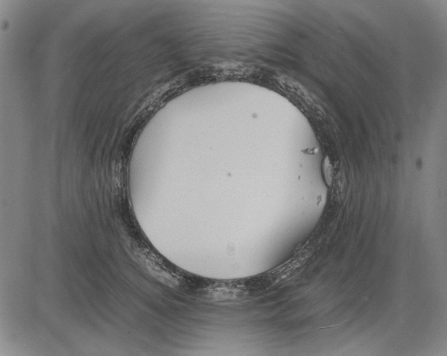 X0000081430756200702021652