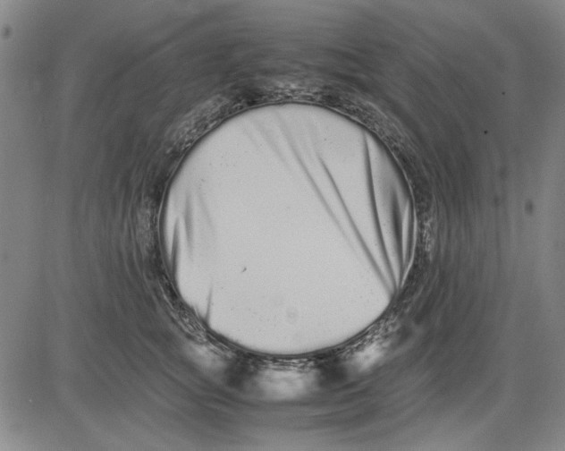 X0000081430757200702021652