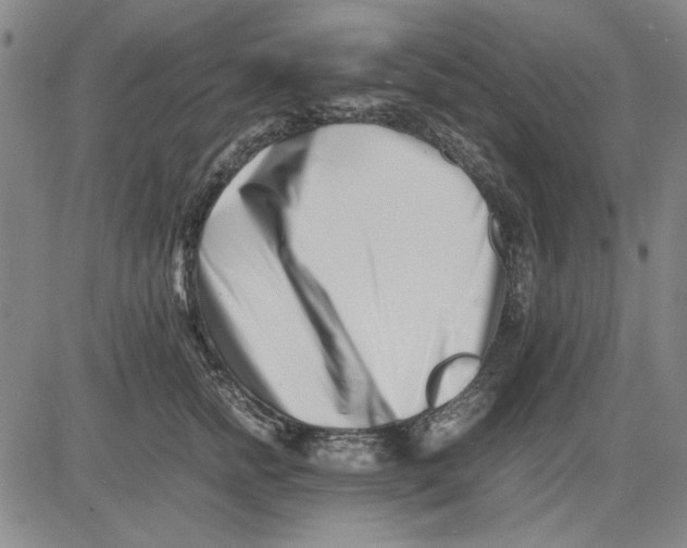 X0000081430758200702021652