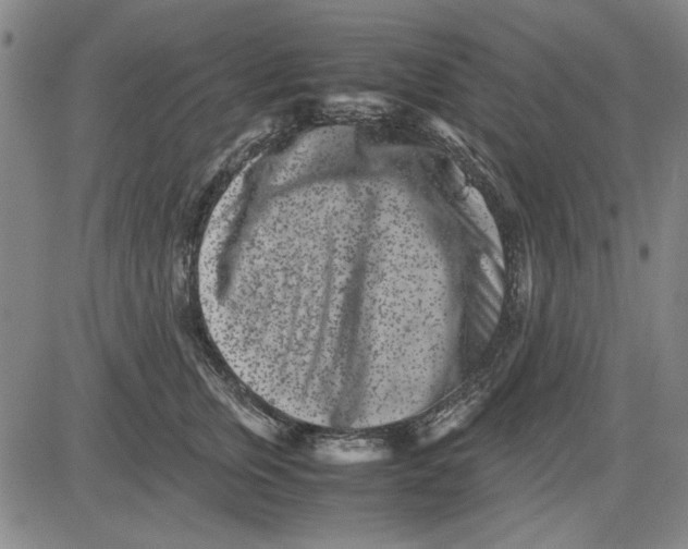 X0000081430759200702021652