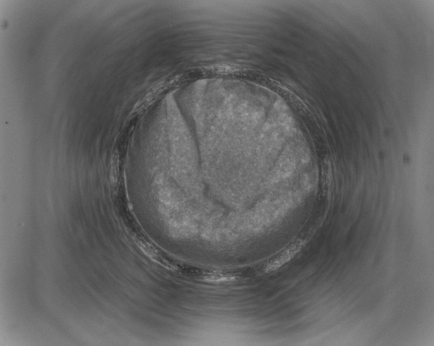 X0000081430760200702021652