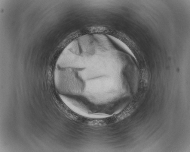 X0000081430761200702021652