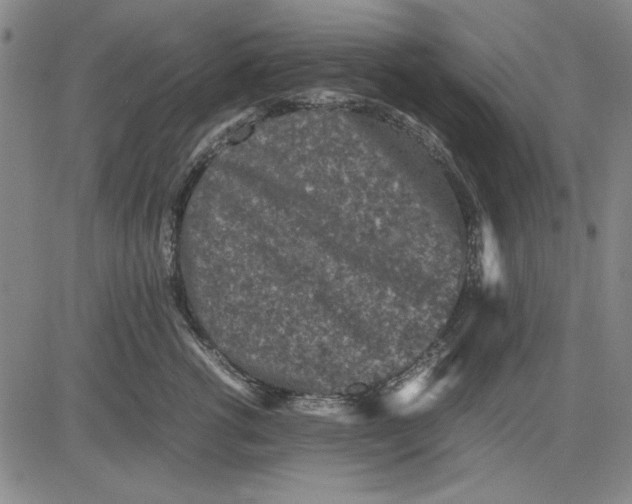 X0000081430762200702021652