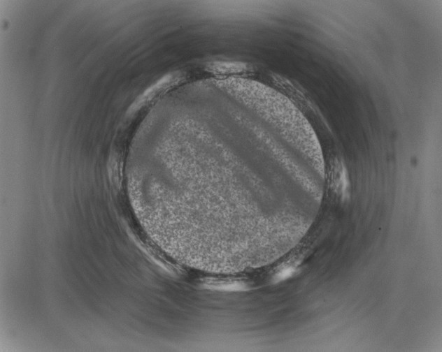 X0000081430763200702021652