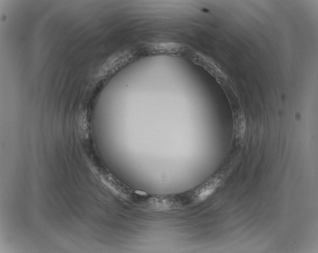 X0000081430764200702021652