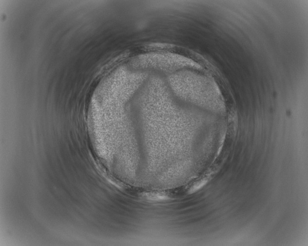 X0000081430765200702021652