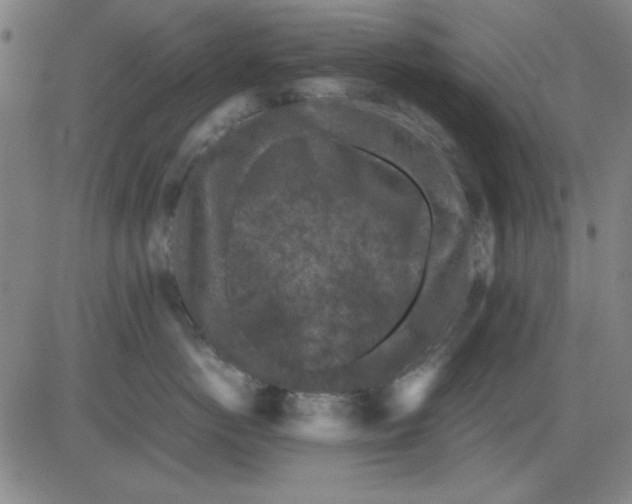 X0000081430766200702021652