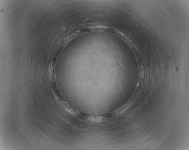 X0000081430767200702021652