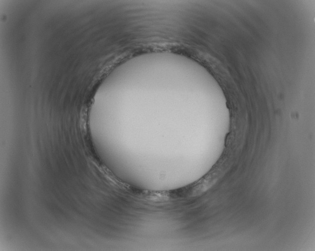 X0000081430768200702021652