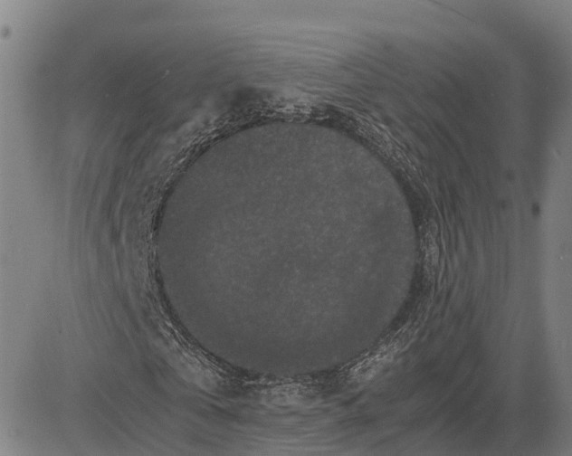 X0000081430769200702021651