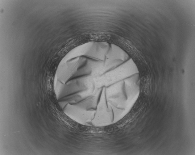 X0000081430770200702021651