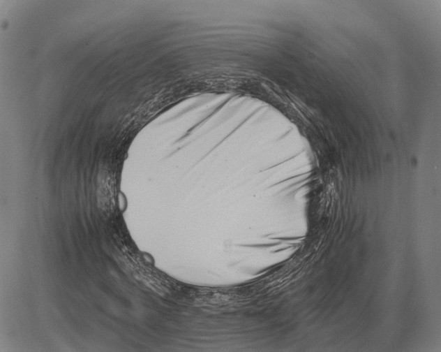 X0000081430772200702021651