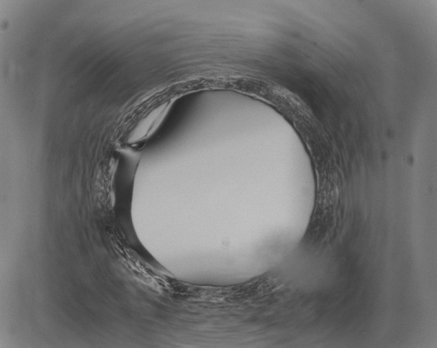 X0000081430773200702021651